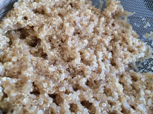 Quinoa