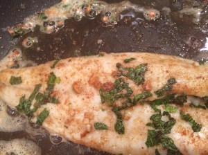 Chermoula fish