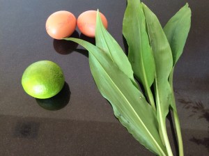 Wild garlic leaves
