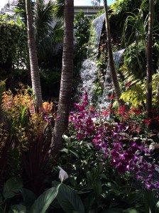 Chelsea flower show