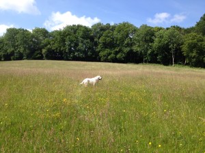 018f58ff416d0db9e937e54f8c7a0482a3d2987f1d_00001