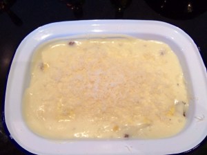 Turkey lasagne uncooked