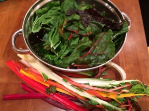 Swiss chard leaves and stems