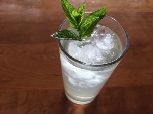 Mint and elderflower cooler.
